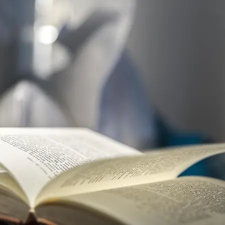 Don Pablo Hotel Pechón