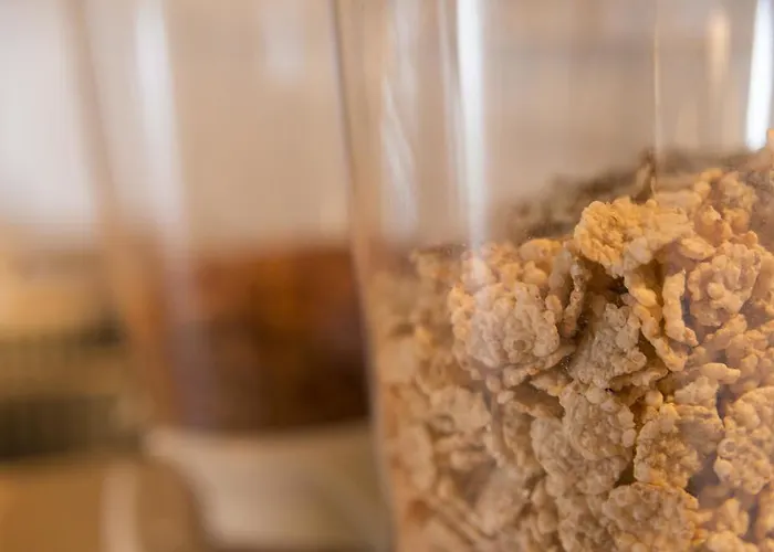 酒店 唐帕布罗酒店 Pechón