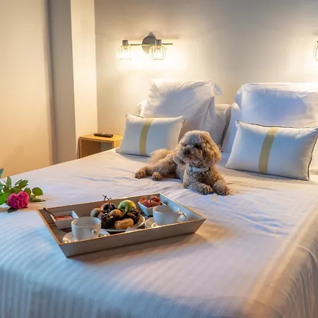 Don Pablo Hotel Pechón